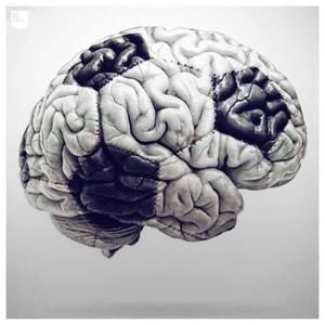 Meet your Posher, Leo